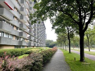 Appartement in Rijswijk met 3 kamers