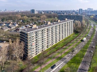 Appartement in Rijswijk met 4 kamers