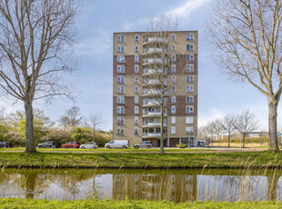 Appartement in Rotterdam met 2 kamers