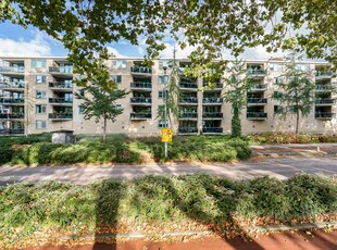 Appartement in Rotterdam met 3 kamers