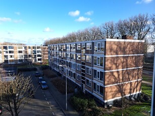 Appartement in Rotterdam met 3 kamers