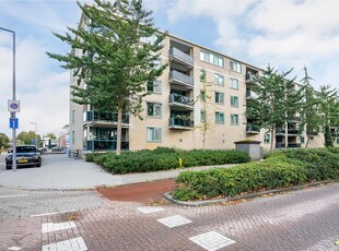 Appartement in Rotterdam met 3 kamers