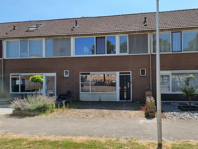 Riegheidestraat 43