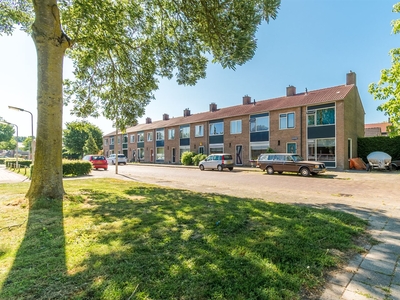 Rozenstraat 8