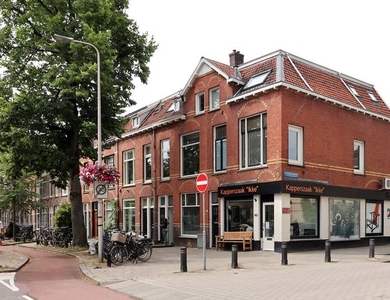 Adriaen Van Ostadelaan in Utrecht (89m2)