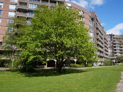 Appartement in Amsterdam met 3 kamers