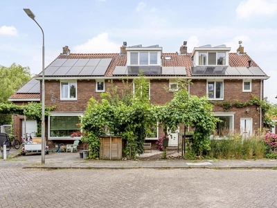 Meidoornstraat 24