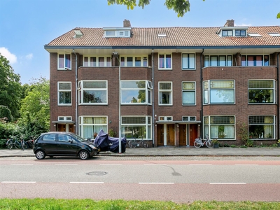 Witte Singel 58