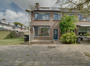 Rodenbachlaan 53