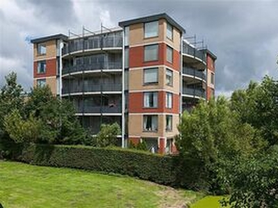 Appartement te huur in Haarlem