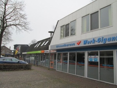 Burg.Baron van Dedemstraat in Nieuwleusen (50m2)