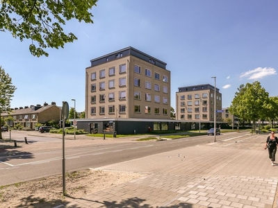 Van Heuven Goedhartlaan in Utrecht (29m2)