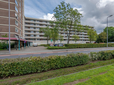 Wilgenplaslaan 348