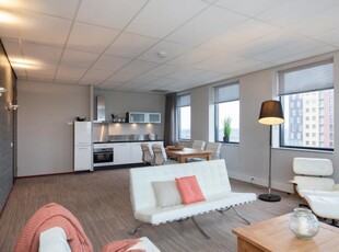 Appartement in Leiden met 2 kamers