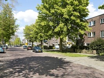 Apartment te huur in Arnhem