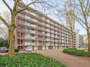 Cederstraat 79, Tilburg