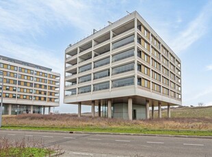 Strandweg 295, Hoek van Holland