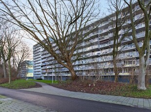 Vliestroom 113, Alphen Aan Den Rijn