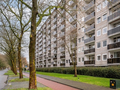 Lepelaarsingel 80