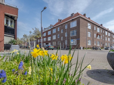 3e Carnissestraat 50 B