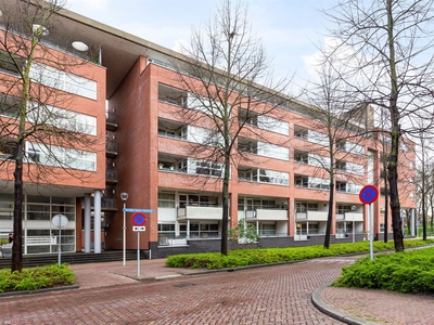 Henriëtte Roland Holststraat 23