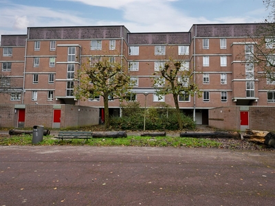 Leerdamhof 343 + PP