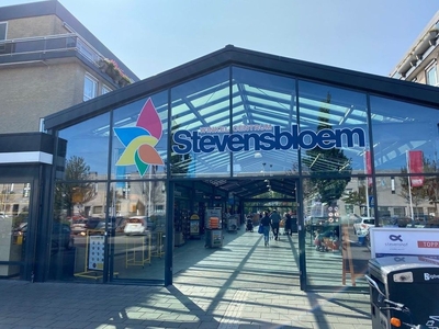 Stevensbloem in Leiden (75m2)