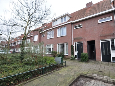 Willem de Zwijgerstraat 43