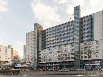 Zuidplein 424