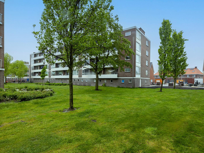 Brandsmastraat 11