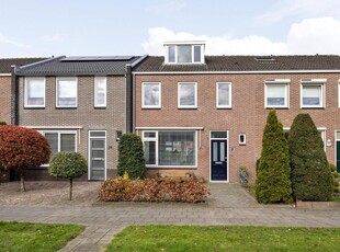 Hendrik van Viandenstraat 26