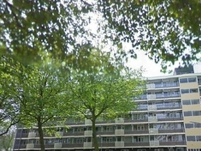 Appartement te huur in Hilversum