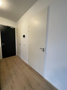 Studio te huur Pelikaanstraat, Assen