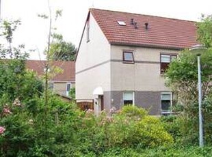 Apartment te huur in Lelystad