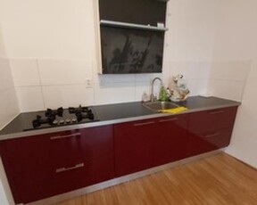 Apartment te huur in Schiedam