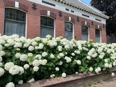 Huis Kerkstraat in Riel