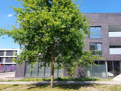 Appartement Hulsmaatstraat in Enschede