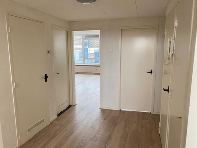 Appartement in Leiden met 4 kamers