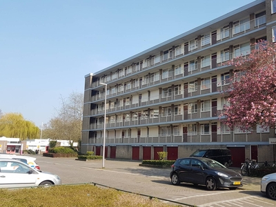 Appartement Van Malsenstraat in Rotterdam