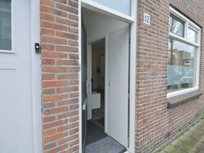 Benedenwoning te huur in Haarlem