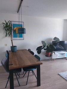 Appartement te huur Ahornlaan, Rotterdam