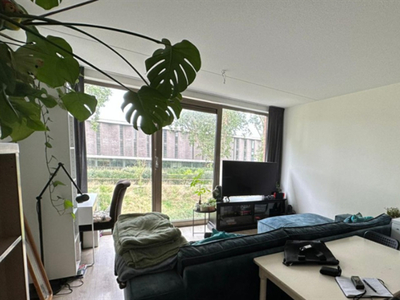 Appartement te huur Helper Oostsingel, Groningen