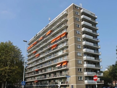 Appartement te huur Meidoornhoek, Rotterdam