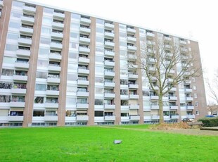 Appartement in Rotterdam met 3 kamers