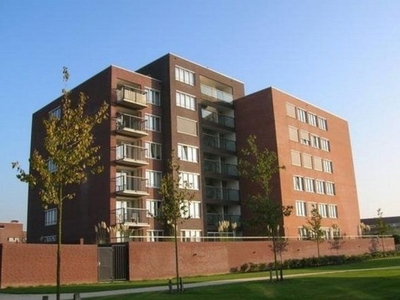 Fonteinkruid in Zwolle (114m2)