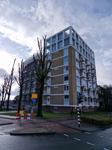 Noordendijk in Dordrecht (89m2)