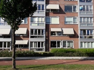 Plantageweg 19