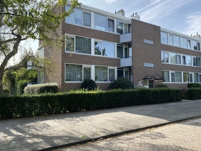 Van Beethovensingel 21