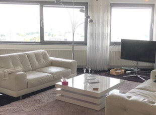 Appartement in Rotterdam met 3 kamers