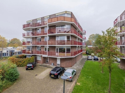 Pluimgras in Leiden (70m2)